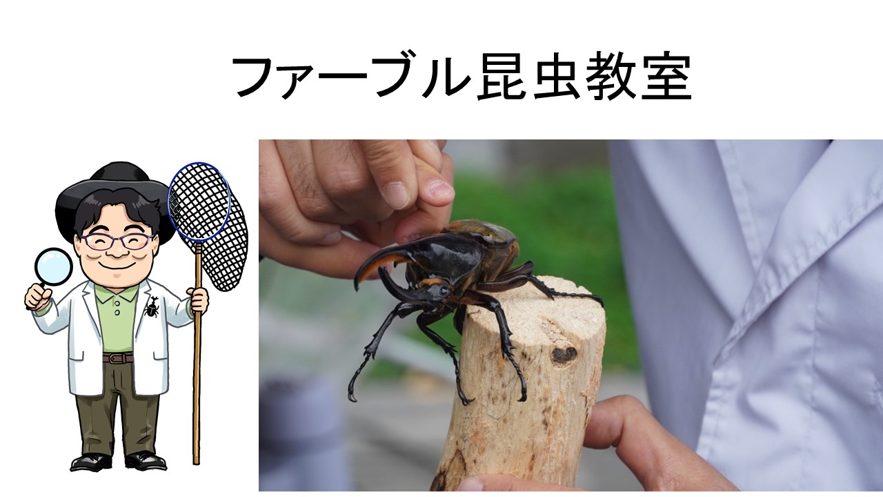 ファーブル昆虫教室